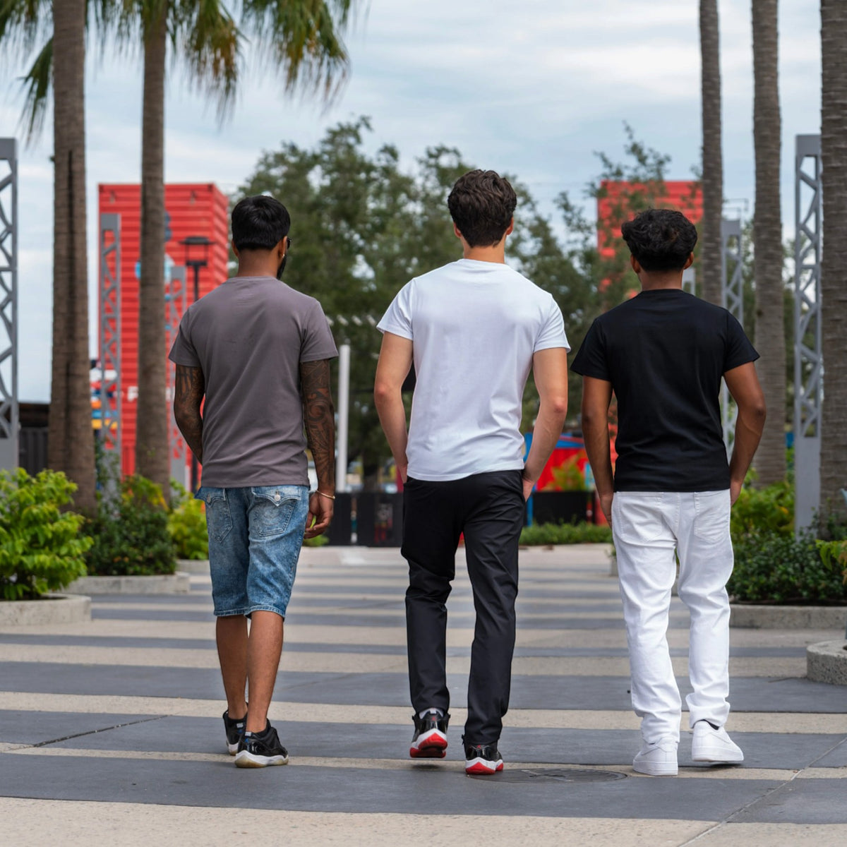 Three men walking away on a paved outdoor path lined with palm trees, wearing casual t-shirts and jeans in black, white, and gray.